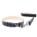 Pet Collar And Leash